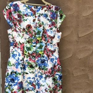 Flattering Floral Size 6 Liz Claiborne Dress